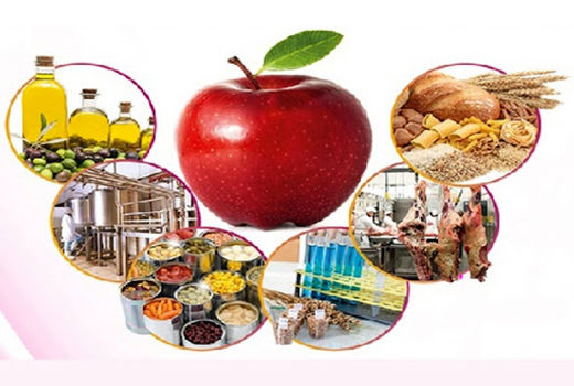 ظرفیت کل صنایع تبدیلی کشاورزی استان از یک میلیون و 800 هزار تن به 2میلیون و 200 هزار تن رسیده است