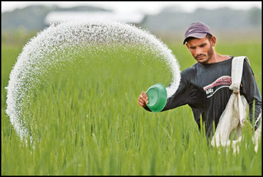 مواد کودی FIORE تقلبی است