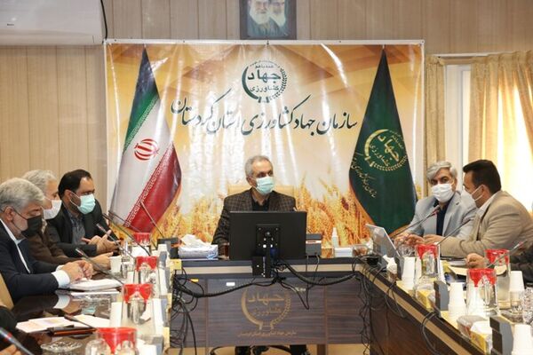 طرح جهش تولید در دیمزارهای کردستان ۹۰ درصد پیشرفت فیزیکی دارد