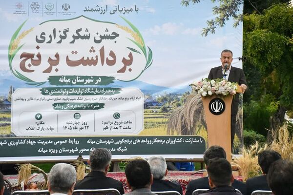 پایداری تولید برنج و تکمیل زنجیره ارزش محصولات کشاورزی در اولویت است