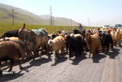 وقت کوچ قشلاقی عشایر سمیرم به جنوب کشور