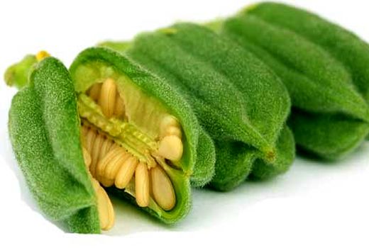 تولید بیش از هزار و 700 تن کنجد  در لارستان
