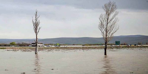 آب گرفتگی زمین‌های کشاورزی و منابع طبیعی در نوش آباد