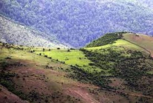 نظارت بر اجرای طرح های مرتع داری در فارس