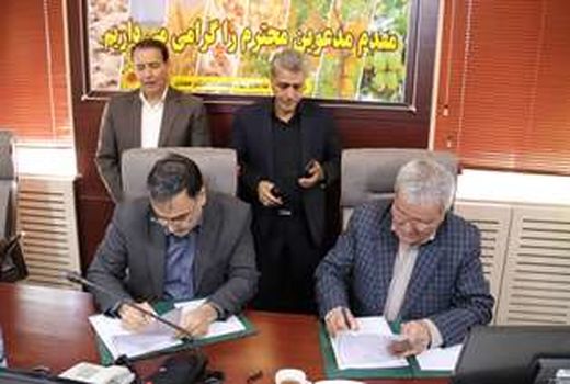 جهاد کشاورزی و اتاق اصناف کشاورزی تفاهم‌نامه همکاری منعقد کردند