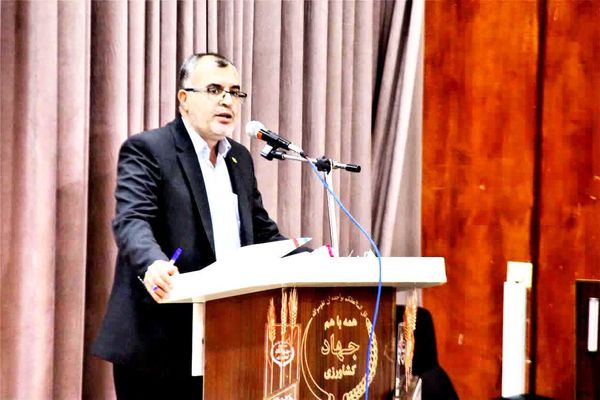 تمام فعالیت‌های حوزه کشاورزی از سال زراعی جدید زیرپوشش بیمه کشاورزی قرار خواهند گرفت