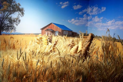  هفدهمین نمایشگاه صنعت غلات، آرد و نان 