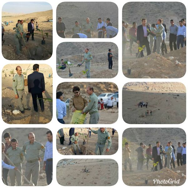 پارک جنگلی چَغان لارستان درختکاری شد