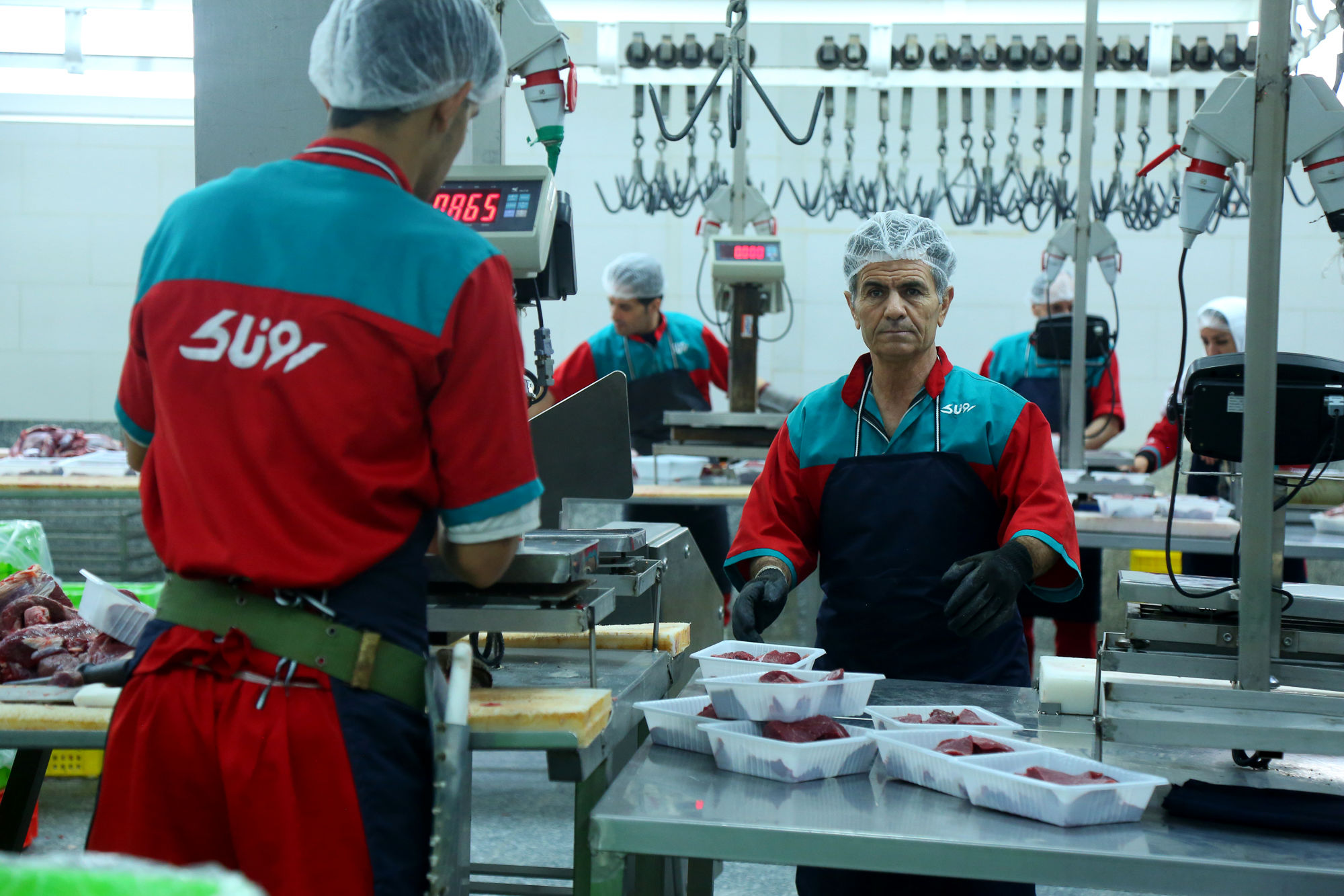 تور رسانه ای به مناسبت هفته دامپزشکی 