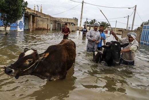 پایش و اقدامات بهداشتی و قرنطینه ای در مناطق سیل زده تشدید می شود