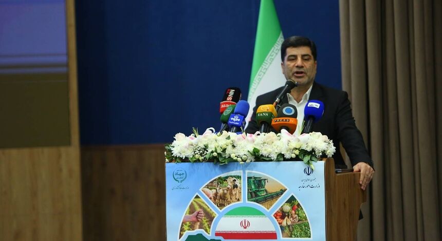 امنیت غذایی با همکاری‌های فرامرزی تقویت می‌شود/ایران آماده سرمایه‌گذاری مشترک در آفریقا
