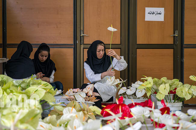 Saba Taherian14