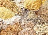 بازنگری در فرآیندهای تأمین نهاده‌ها؛ ضرورت امروز زنجیره تولید است