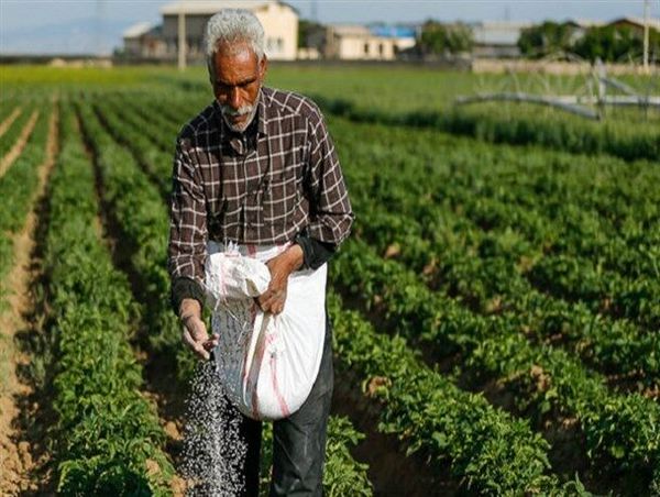 توزیع بیش از 4 هزار تن کودشیمیایی بین کشاورزان چهارمحال و بختیاری