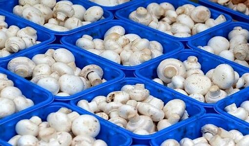 چهار نرخ پر مصرف مشمول قیمت‌گذاری شد