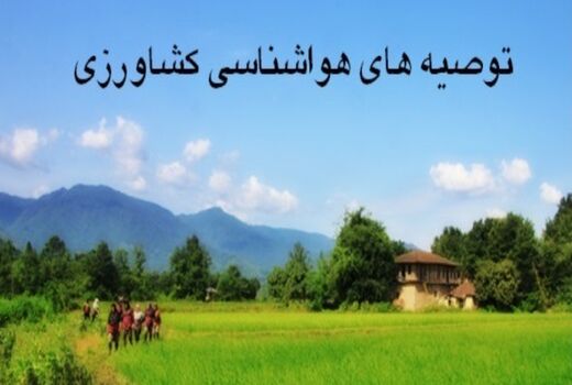 کشاورزان استان تهران از انجام عملیات سم پاشی و محلول پاشی تا دو روز آینده خودداری کنند