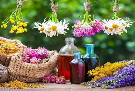 خلاقیت نیکبخت، عامل خروج تعاون روستایی از بحران