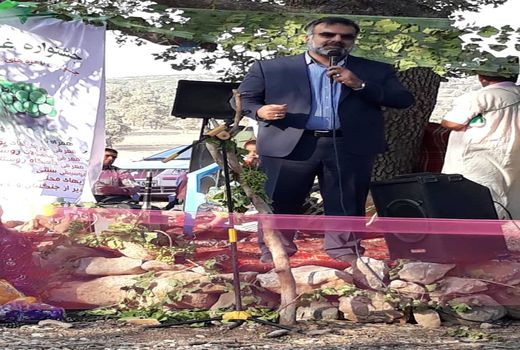 برگزاری سومین جشنواره غوره دشمن زیاری/ فارس، 15 درصد محصولات باغی کشور را تولید می‌کند