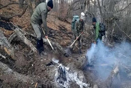 آتش در دل جنگل و جنگلبانان در دل حماسه