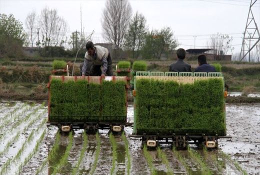 توسعه یعنی ایجاد بنیان اقتصادی در روستا نه شهر