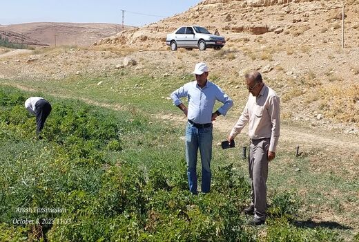 بازدید از انبار کارگزاری‌های خرید نهاده‌ها در شهرستان سمیرم
