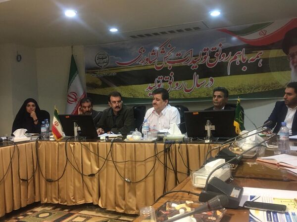 افزایش بهره‌وری در تولید با اجرای طرح ملی گندم بنیان در استان خوزستان