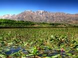 حفاظت از تالاب‌ها، دارای اعتبارات ملی می‌شود