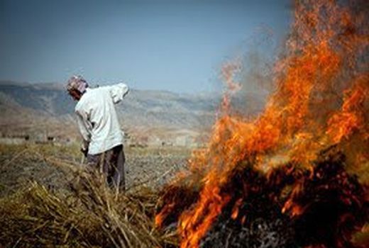  100 هکتار اراضی طبیعی تهران طعمه حریق شد