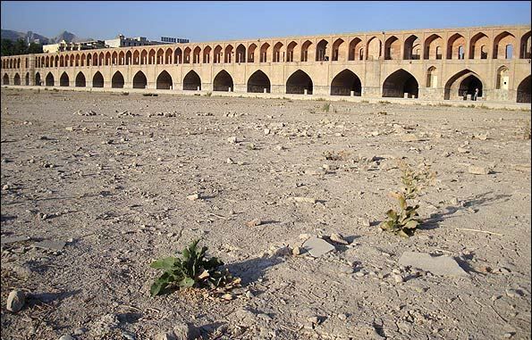 حمایت جهاد کشاورزی اصفهان از احیای زاینده‌ رود