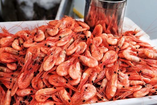 ارمغانی از گواتر برای صادرات به کشورهای مختلف دنیا