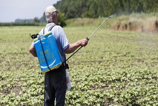 اجازه ورود سموم آماده مصرف فقط به میزان ۱۲ تا ۱۳ درصد