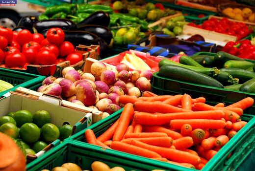 امنیت غذایی ما به چه چیزی وابسته است