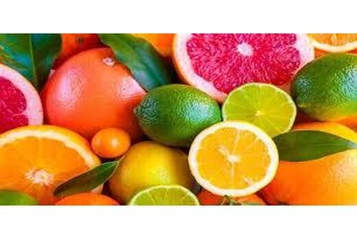 تولید 110 هزار تنی مرکبات در جویبار