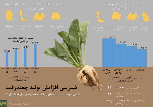 اینفوگرافیک وضعیت میزان تولید، سطح زیر کشت و عملکرد چغندرقند در کشور و استان‌های برتر