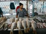 جدیدترین قیمت مرغ و ماهی در بازار/ قیمت مرغ با بیشترین نوسان از آبزیان پیشی گرفت