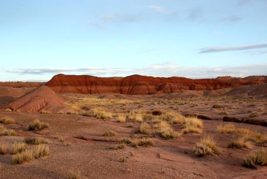 67 هزار هکتار از عرصه‌های بیابانی کشور نیازمند عملیات بیابان‌زدایی برای تثبیت است