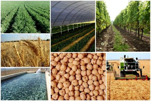 ارائه هرگونه خدمات به کشاورزان منوط به دریافت پروانه کسب و کد سلامت است