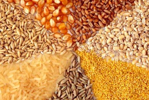 توزیع حدود 97 هزار تن نهاده های دامی در خراسان شمالی 