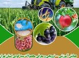 همایش ترویجی معرفی سبد کودی برگزار خواهد شد