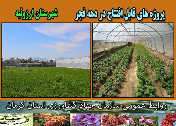  بهره‌برداری از 10 طرح گلخانه و سیستم آبیاری نوین در شهرستان ارزوئیه 