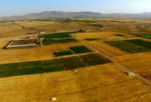 بلوک ۳۶ درصدی شرکت ملی کشت و صنعت و دامپروری پارس واگذار می‌شود