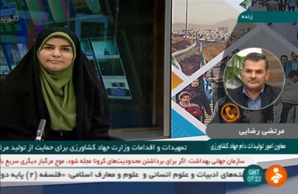 خرید روزانه 1700 تن مرغ مازاد برای حمایت از مرغداران کشور