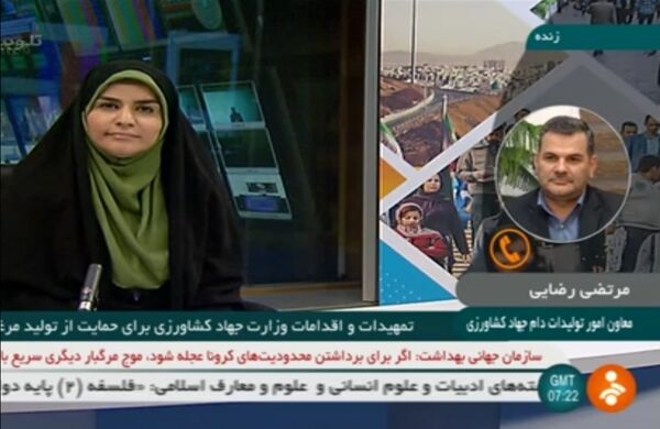 خرید روزانه 1700 تن مرغ مازاد برای حمایت از مرغداران کشور