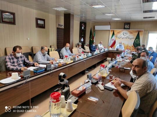  14 فقره پرونده به مساحت 56 هکتار بررسی و تعیین تکلیف شد