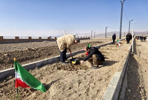  کاشت 16 هزار نهال در استان سمنان به مناسبت روز پدر