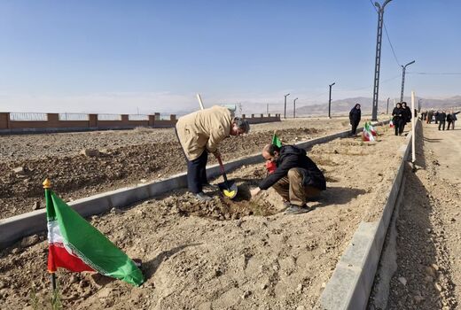  کاشت 16 هزار نهال در استان سمنان به مناسبت روز پدر