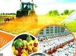 افتتاح 67 طرح کشاورزی در استان همدان