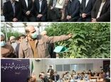 بازدید استاندار تهران از گلخانه ۸ هکتاری شهرستان بهارستان