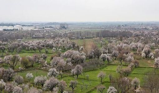 تشدید برخورد با ساخت‌وسازهای غیرمجاز در باغستان سنتی قزوین؛ آمادگی کامل یگان حفاظت اراضی