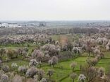 تشدید برخورد با ساخت‌وسازهای غیرمجاز در باغستان سنتی قزوین؛ آمادگی کامل یگان حفاظت اراضی